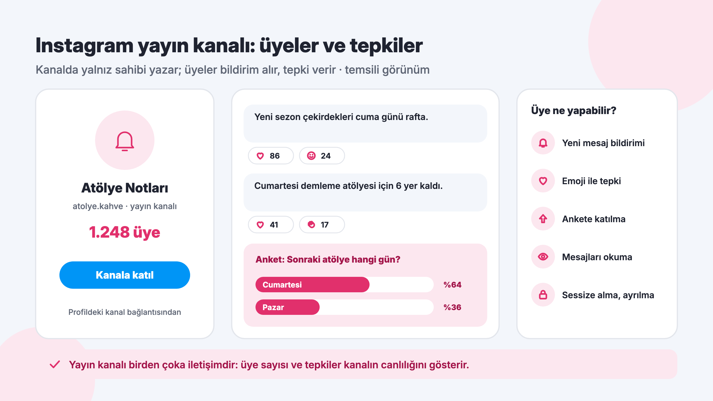 Instagram yayın kanalı: kanal üye sayısı, Kanala katıl düğmesi, kanal mesajlarına verilen emoji tepkileri ve kanal anketi