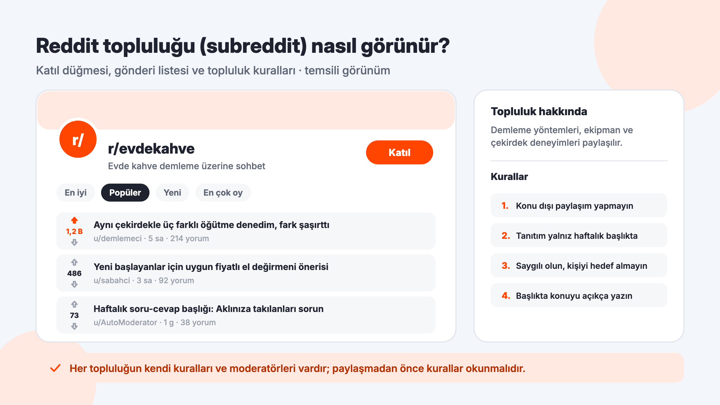 Reddit topluluk (subreddit) sayfasının temsili görünümü: Katıl düğmesi, sıralama sekmeleri, oylu gönderi listesi ve topluluk kuralları